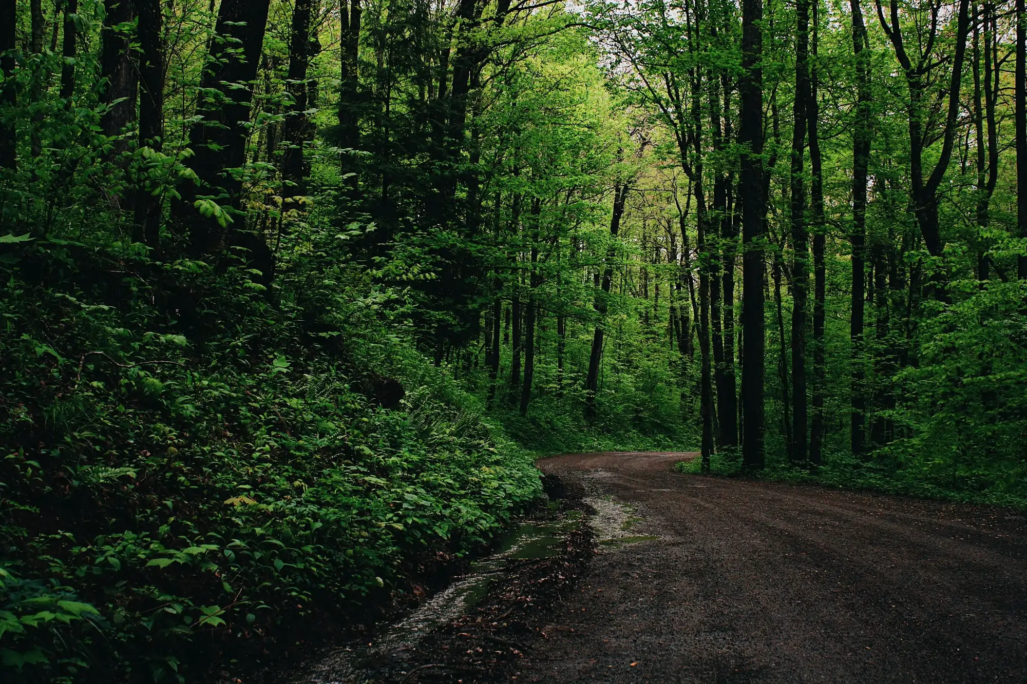 How to Get Outside More (Even When You Don’t Want to)