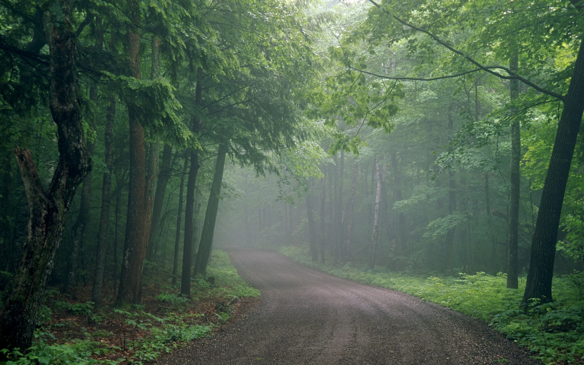 Learn how to stay quiet and not talk using 5 simple, practical strategies.
