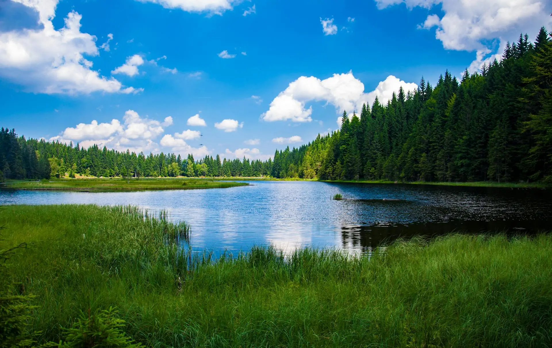 How to Take Back Control Over Your Life: 7 Simple Steps